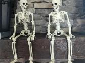 Pvc Realistiški Skeletai, lankstūs sąnariai - nuotraukos Nr. 15
