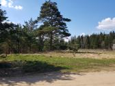 Žemės sklypas Gojaus k., Jašiūnų sen., Šalčininkų