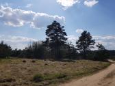 Žemės sklypas Gojaus k., Jašiūnų sen., Šalčininkų - nuotraukos Nr. 2