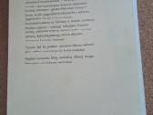 Albino Plėšnio „Filosofijos įvadas“ knyga - nuotraukos Nr. 2