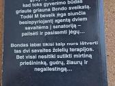 Iano Flemingo „Dešimtas Bondas: Operacija Žaibas“ - nuotraukos Nr. 2