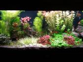 Parduodu akvariuma Diversa Solid 120cm/240l
