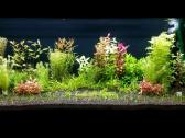 Parduodu akvariuma Diversa Solid 120cm/240l - nuotraukos Nr. 2