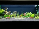 Parduodu akvariuma Diversa Solid 120cm/240l - nuotraukos Nr. 3