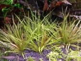 Parduodu akvariuma Diversa Solid 120cm/240l - nuotraukos Nr. 10