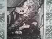 Žurnalo "Švyturys" 1991 metų komplektas - nuotraukos Nr. 6