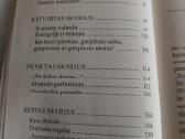 Paskutinė viltis - nuotraukos Nr. 4