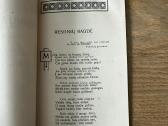 Raseinių Magdė 1921 m. - nuotraukos Nr. 3