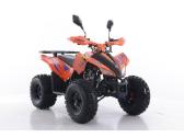 Asix coyote 125cc 8" Geriausias pasirinkimas - nuotraukos Nr. 3
