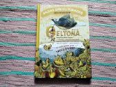 Saulės spalvų poringės. Geltona! I ir II dalys - nuotraukos Nr. 2