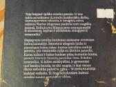 Iš dangaus nukrito trys obuoliai - nuotraukos Nr. 4