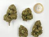Cbd žiedai aliejus Naujiena ! - nuotraukos Nr. 9