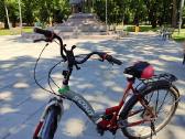 Woman bicycle