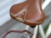 Bottecchia 707 Dolce vita 28 Gents Retrocitybike - nuotraukos Nr. 6
