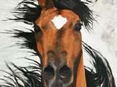 Paveikslas Arabian Horse - nuotraukos Nr. 2