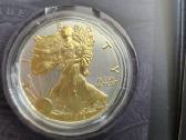 Amerikos Pinigų istorija Proginiai doleriai - nuotraukos Nr. 3