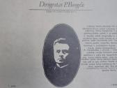 Vinilines ploksteles - nuotraukos Nr. 3