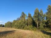 Parduodu sodybą - nuotraukos Nr. 5