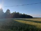 Parduodu sodybą - nuotraukos Nr. 3