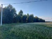 Parduodu sodybą - nuotraukos Nr. 7