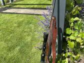 Sauer 202 euro 300wm Helia 5 2.4-12x56i