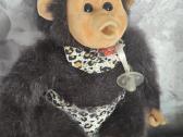 Labai isdykus beždžionė Luna ji moka cypseti. Moka - nuotraukos Nr. 6