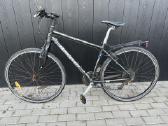 Wheeler cross 6.2 dviratis