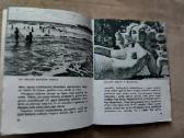 S.krivickas -Palanga (1973 m.) - nuotraukos Nr. 4