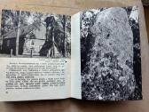 Vygantas Račkaitis-ten, kur Merkys(1980 m.) - nuotraukos Nr. 4