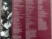 Paul Young Between Two Fires Japonija vinilas - nuotraukos Nr. 4