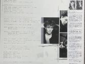 A-ha Hunting High And Low Japonija vinilas - nuotraukos Nr. 2