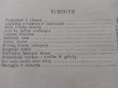 Nešė velnias akmenį - nuotraukos Nr. 3