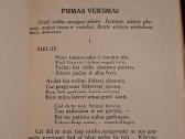 Vaidilutės likimas - nuotraukos Nr. 7