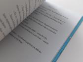 Knyga "Berniukas milijardierius". David Waliams - nuotraukos Nr. 8