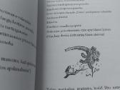 Knyga "Berniukas milijardierius". David Waliams - nuotraukos Nr. 13