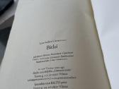 Knyga Bitlai - nuotraukos Nr. 4