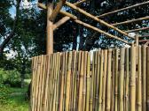 Bambukinė pergola ir bambukinės sienelės - nuotraukos Nr. 2