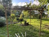 Bambukinė pergola ir bambukinės sienelės - nuotraukos Nr. 7