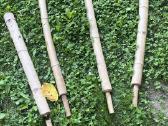 Bambukinė pergola ir bambukinės sienelės - nuotraukos Nr. 8