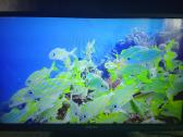 Orion Tv24lb995 LED 61cm. - nuotraukos Nr. 3