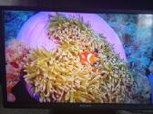 Orion Tv24lb995 LED 61cm. - nuotraukos Nr. 5