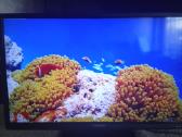 Orion Tv24lb995 LED 61cm. - nuotraukos Nr. 12