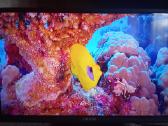 Orion Tv24lb995 LED 61cm. - nuotraukos Nr. 17