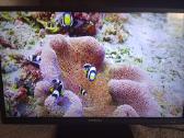 Orion Tv24lb995 LED 61cm. - nuotraukos Nr. 18