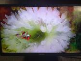 Orion Tv24lb995 LED 61cm. - nuotraukos Nr. 23