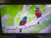 Orion Tv24lb995 LED 61cm. - nuotraukos Nr. 27