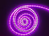 Rgb Neon LED Juosta 5m su Pulteliu - nuotraukos Nr. 3