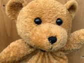 Pliušinis meškiukas, Teddybear, žaislas teddy bear