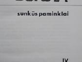 Sunkūs paminklai - nuotraukos Nr. 2