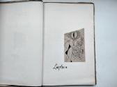 V. Palčinskaitė. Akmenys žydi. 1963 m. leid. - nuotraukos Nr. 3